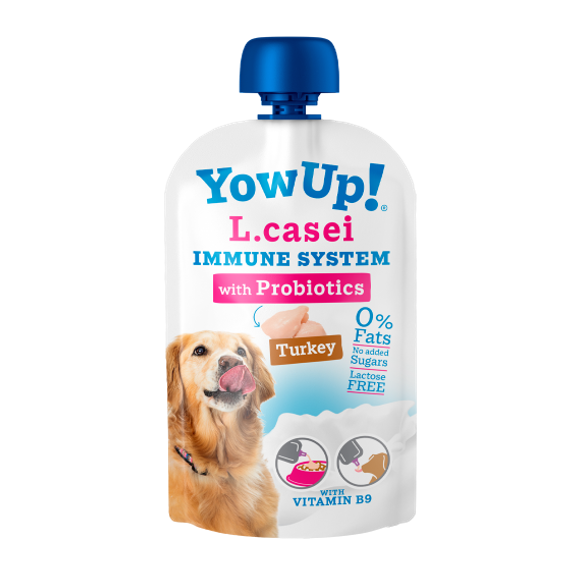 Comida Húmida para Cão Iogurte L-Casei Sistema Imunitário