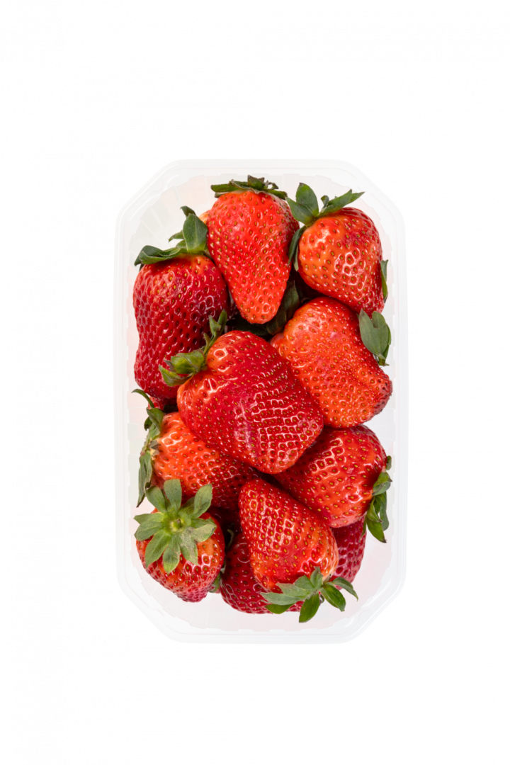 Morango