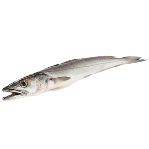 Pescada Fresca