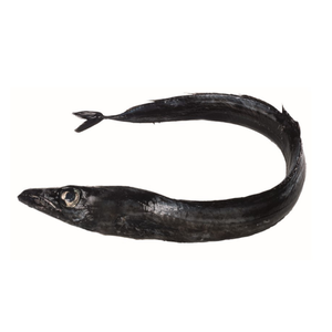Peixe Espada Preto Fresco