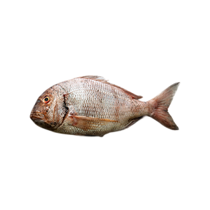 Pargo de Riscas Fresco