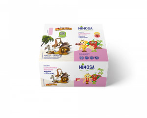 Iogurte Fruta Batida Lanchinho Booom Banana e Morango Pack 4