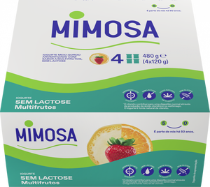 Iogurte sem Lactose Multifrutos Pack 4