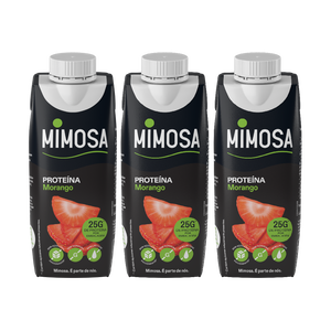 Leite Proteína Morango sem Lactose Pack 3