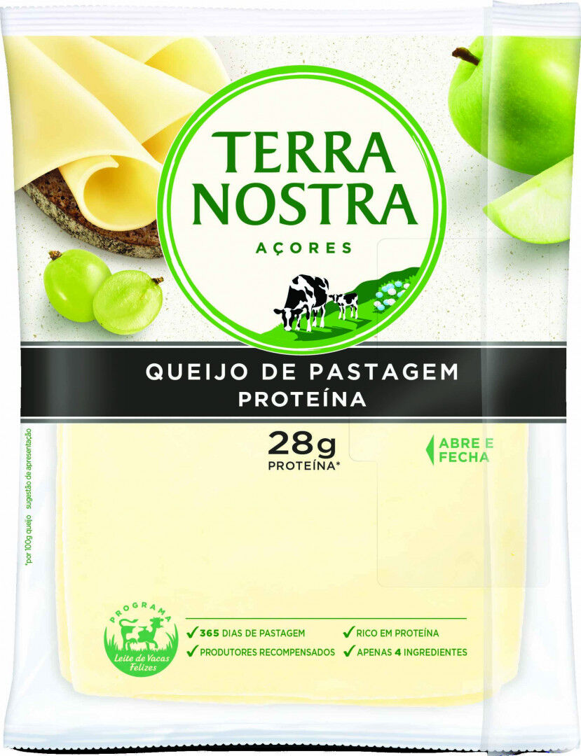 Queijo Flamengo Proteína Fatiado