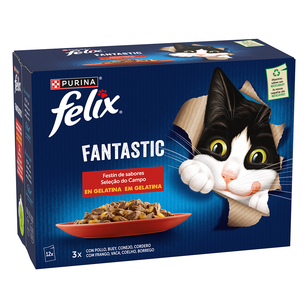 comida-h-mida-para-gato-fantastic-sele-o-do-campo-em-gelatina-purina