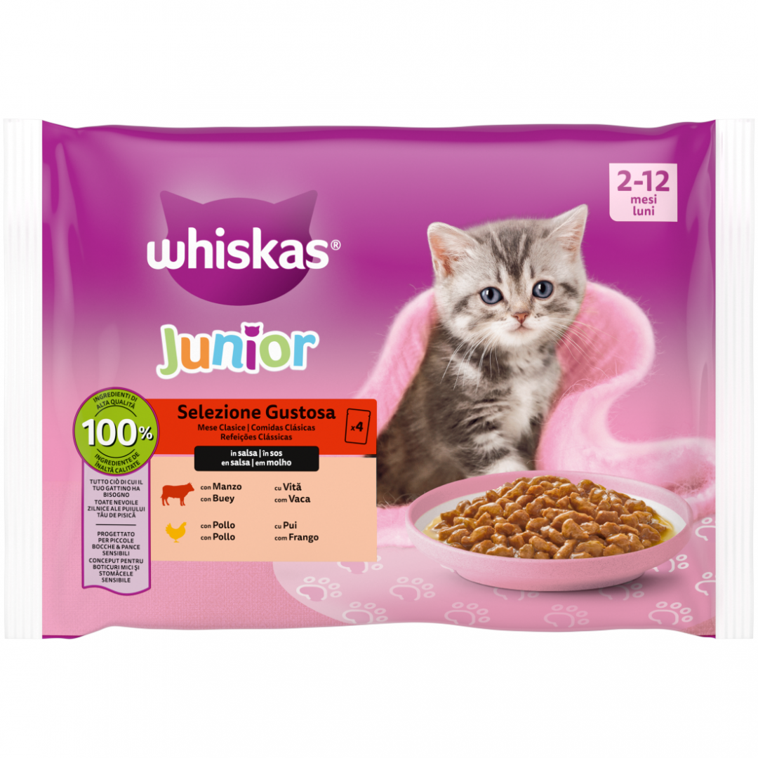 Comida Húmida para Gato Júnior Vaca e Frango em Molho