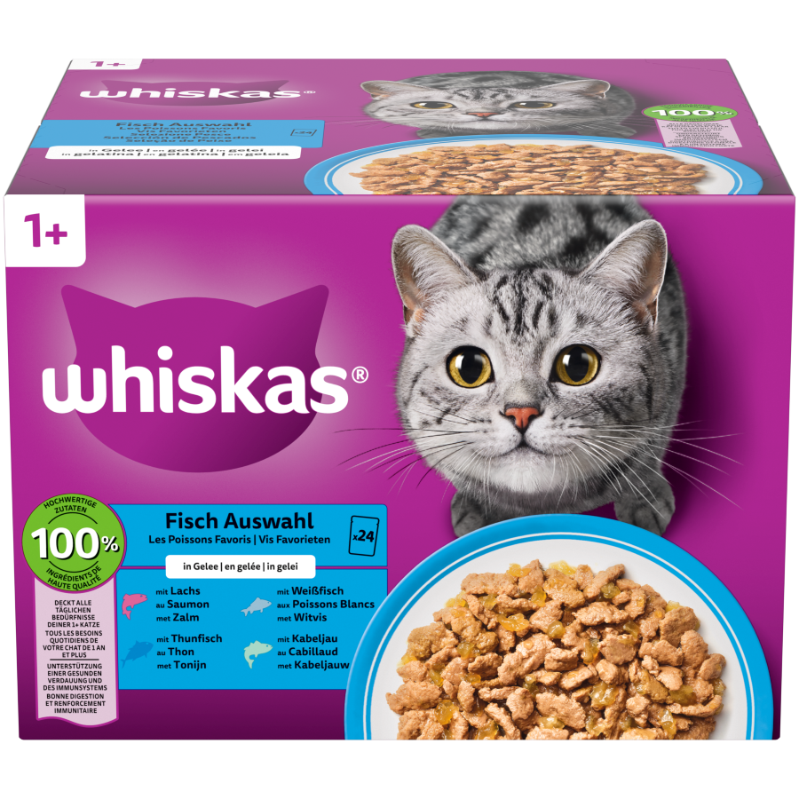 Comida Húmida para Gato Adulto Peixes em Gelatina