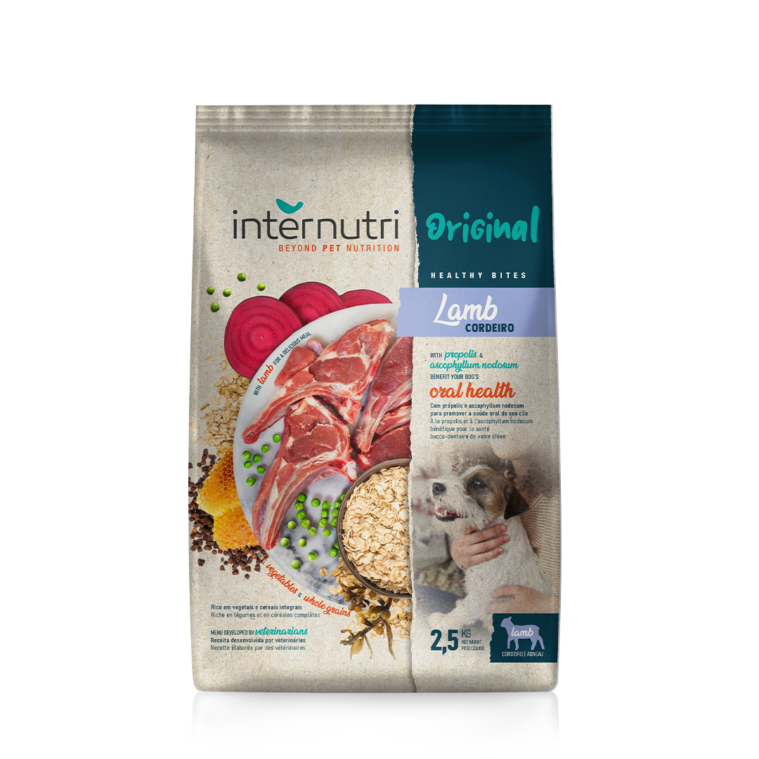 Comida Seca Para Cão Original Cordeiro Internutri 2,5 kg
