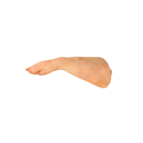 Chispe da Mão de Porco