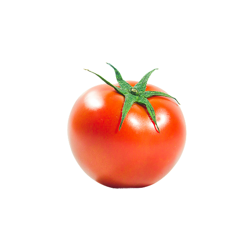 Tomate Redondo 70/95