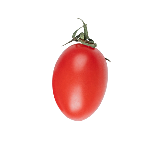 Tomate Alongado  57/67