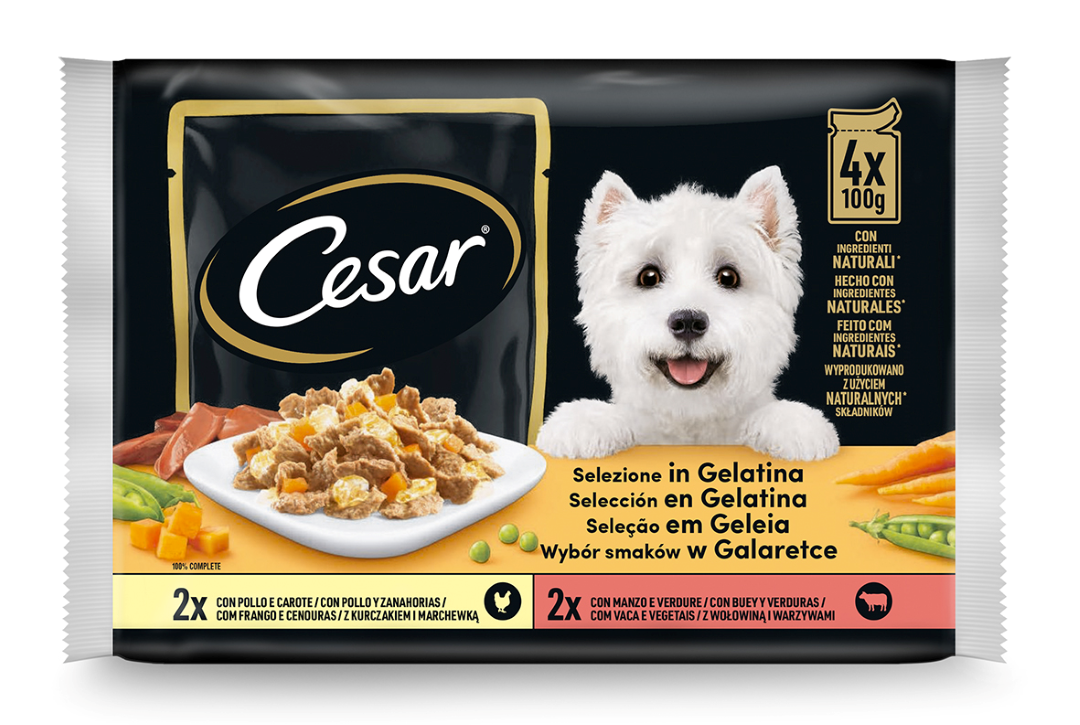 Comida Húmida Para Cão Seleção De Carnes Em Gelatina Cesar 400 g