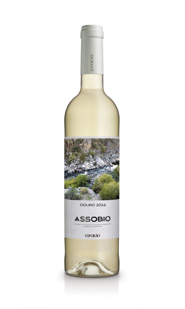 Vinho Branco Douro Assobio 750 ml