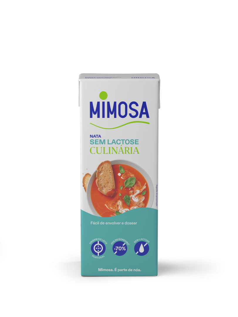 Natas Cremosas Sem Lactose