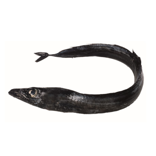 Peixe Espada Preto Fresco