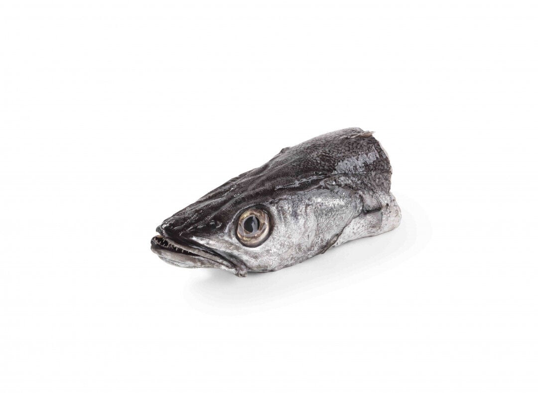 Cabeça de Pescada do Cabo Fresca