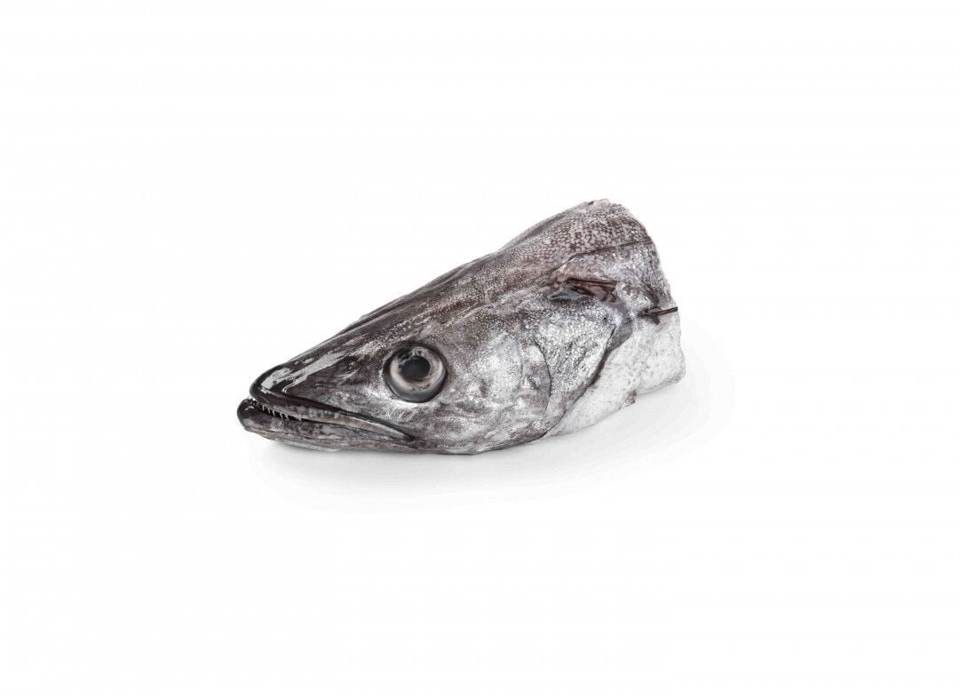 Cabeça de Pescada do Chile Fresca