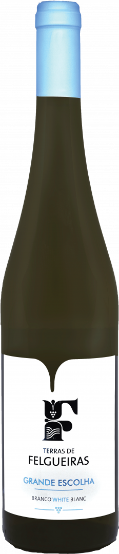 Vinho Verde Branco Terras de Felgueiras Grande Escolha