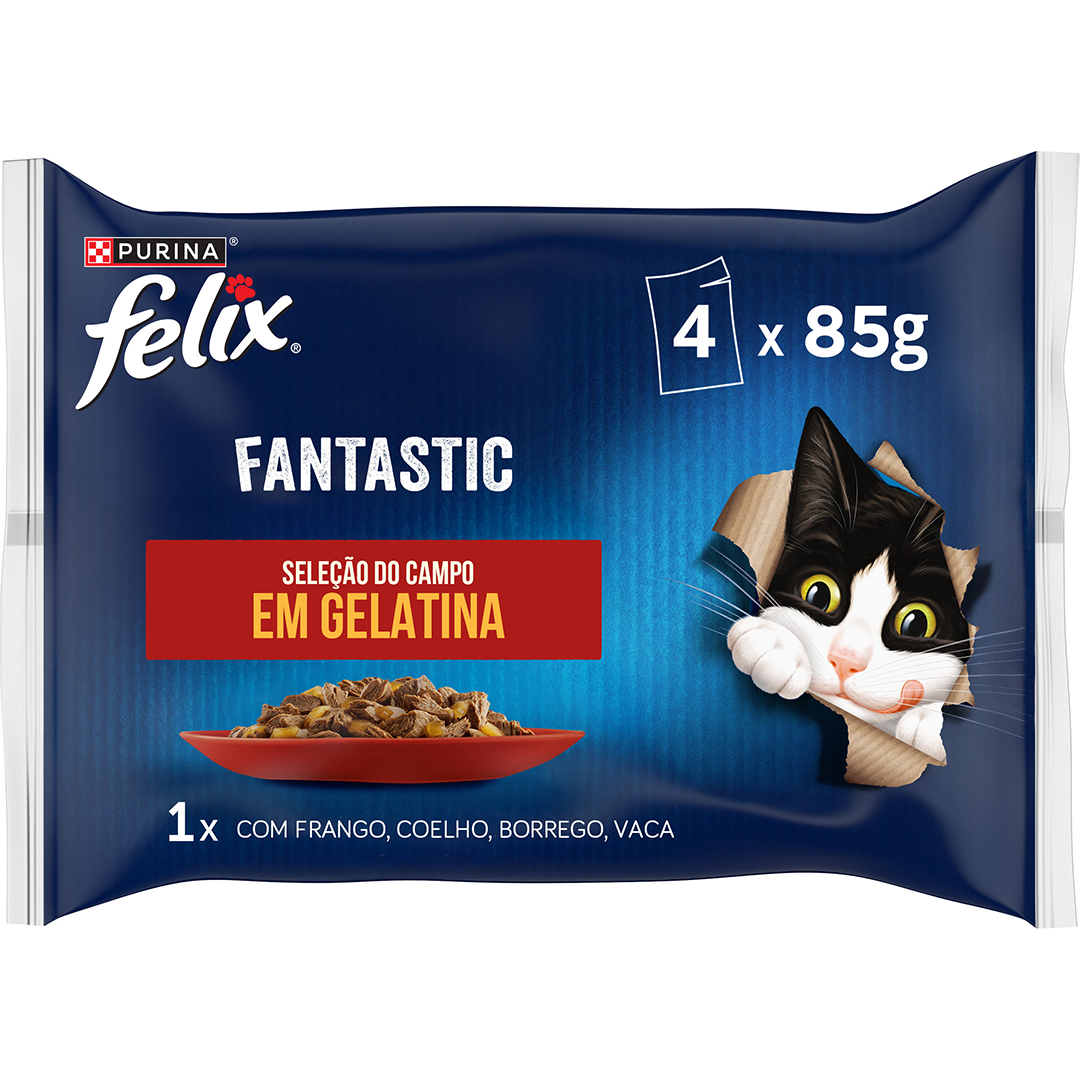 Comida Húmida Para Gato Fantastic Carne Em Gelatina Purina Felix 340 g