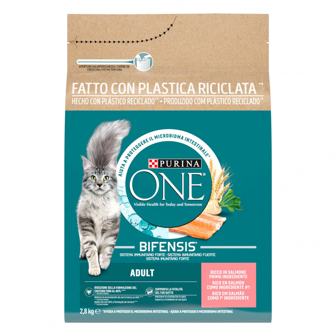 Comida Seca para Gato Adulto com Salmão