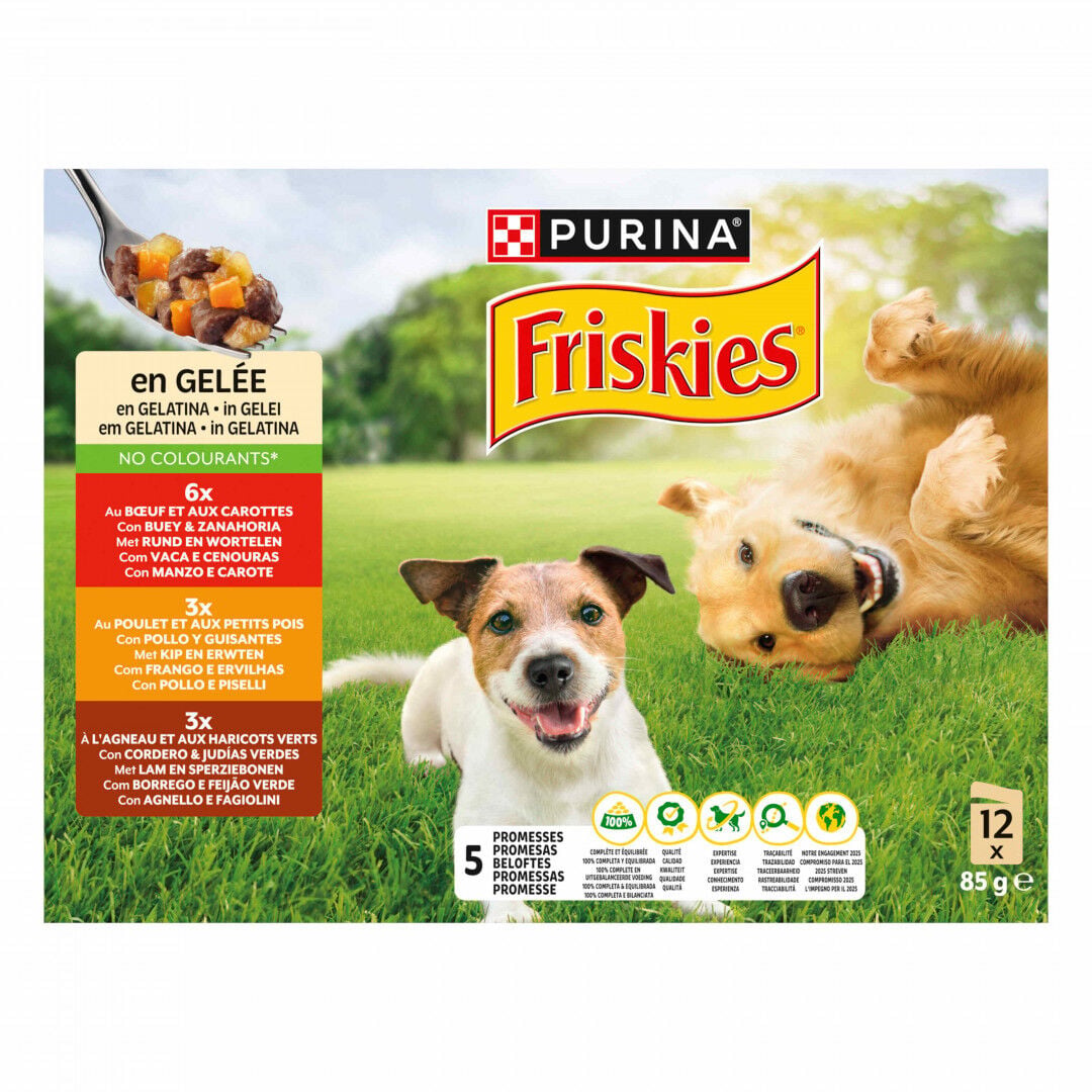Comida Húmida Para Cão Adulto Gelatina Carnes Freskies 1,02 kg