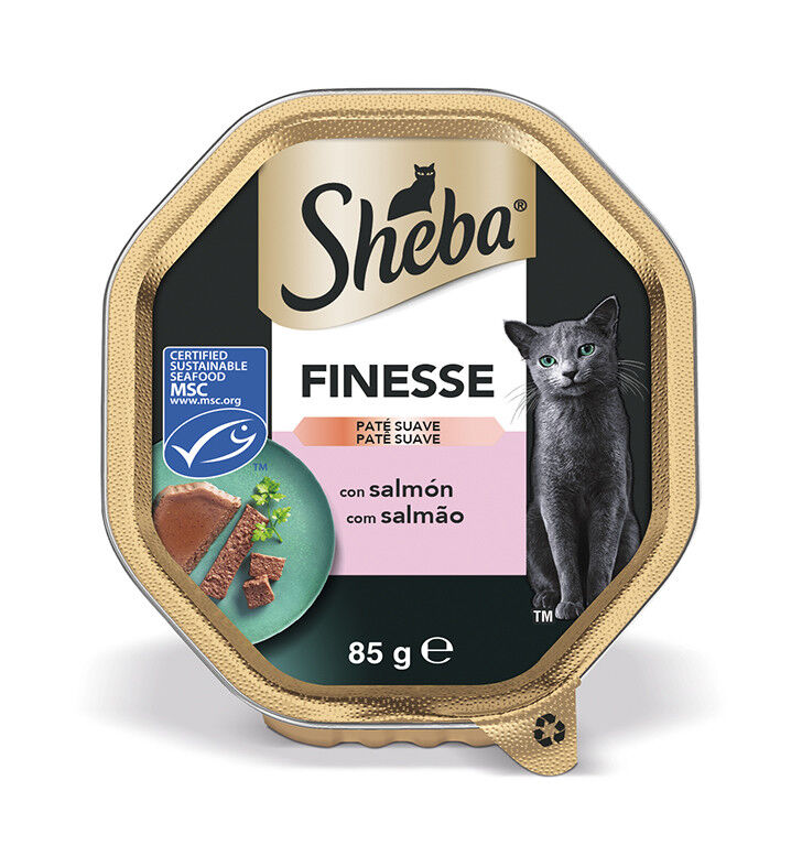 Comida Húmida para Gato Finesse Patê com Salmão