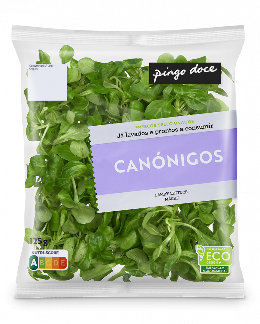 Canónigos